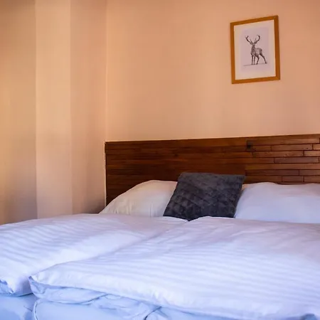 Guest house Penzion Suva Benecko