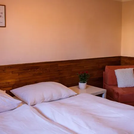 Guest house Penzion Suva 3*