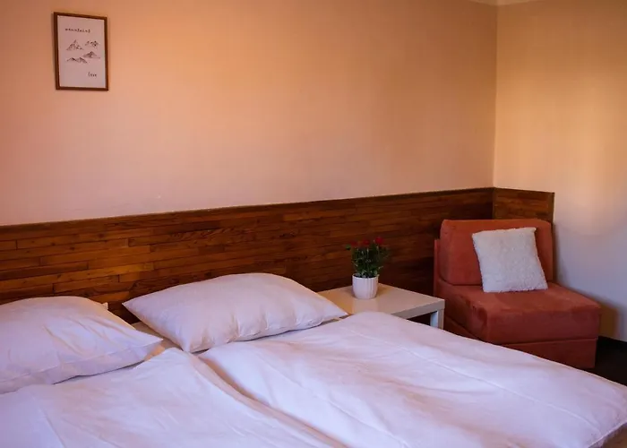 Pensionat Penzion Suva 3*